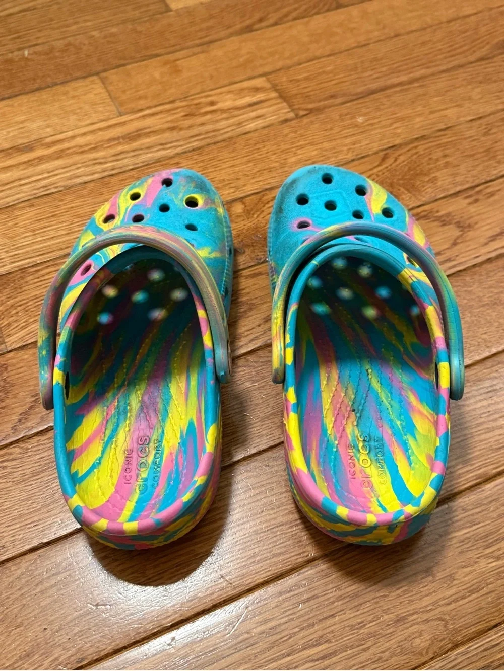 CROCS dog box secures